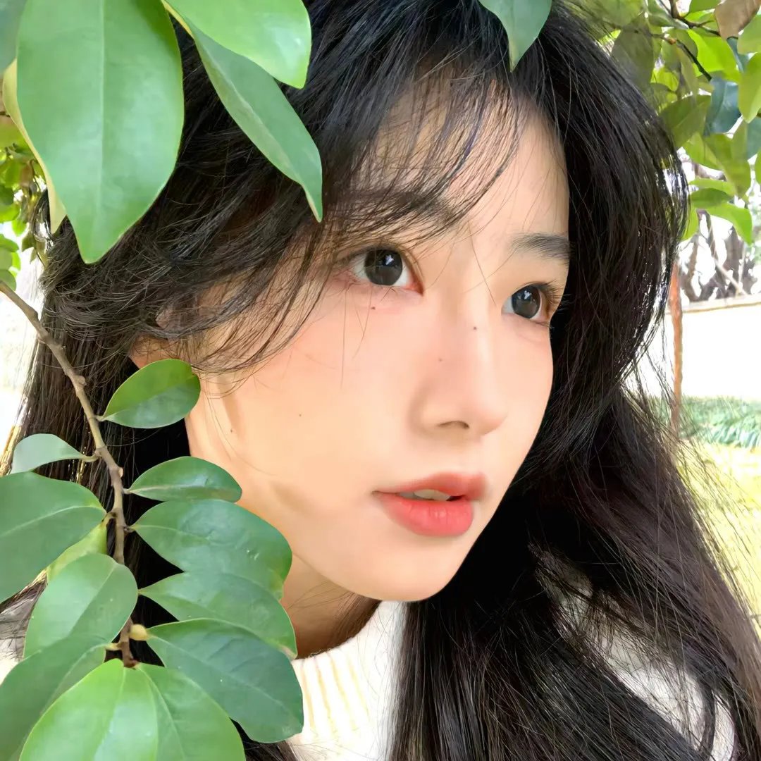 亲密访客